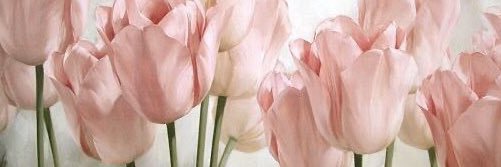 ums3ad555's profile banner image