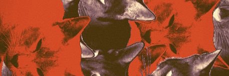 young_doro's profile banner image