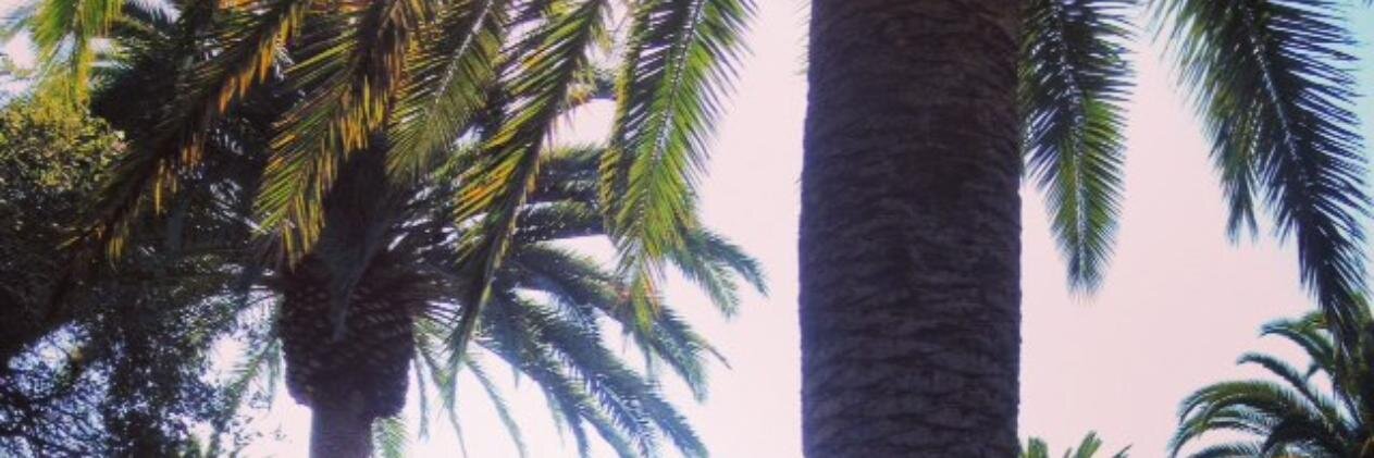 jenmartinez's profile banner image