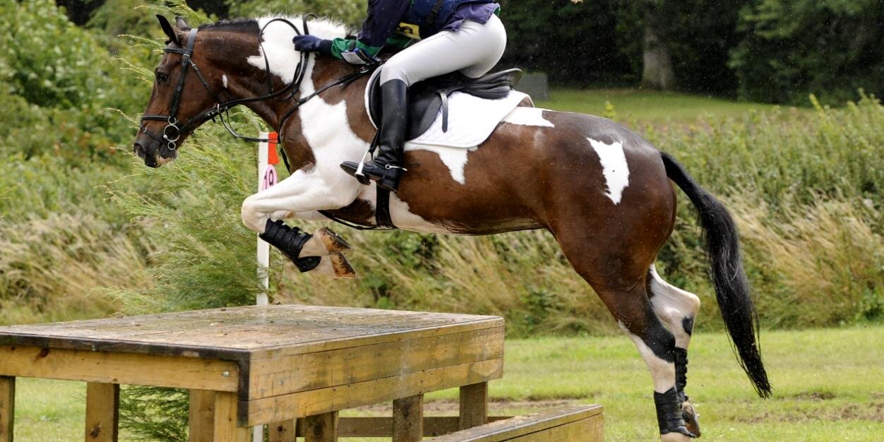 EVENTfulHORSE's profile banner image
