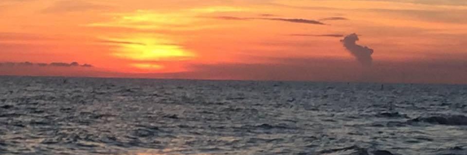 Meaghan McKenna's banner