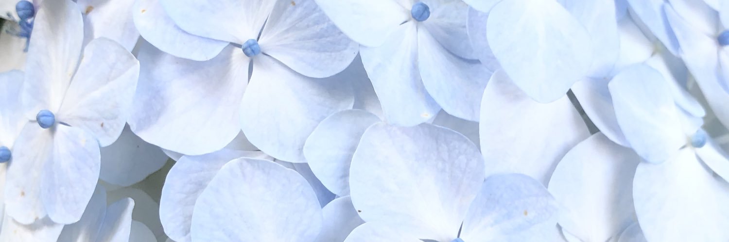 ✉️ banner