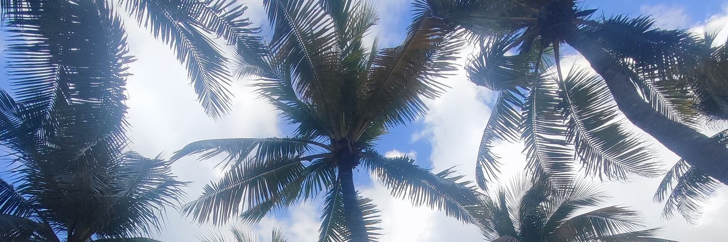 mksanchezv's profile banner image