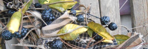 ragsandberries Profile Banner