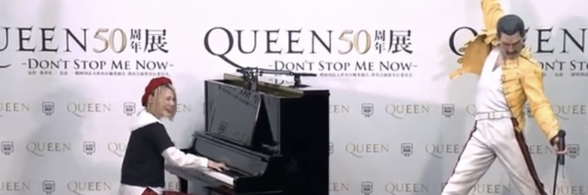 とら丸🍖🎹🐯👑 banner