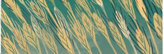sedanronar's profile banner image