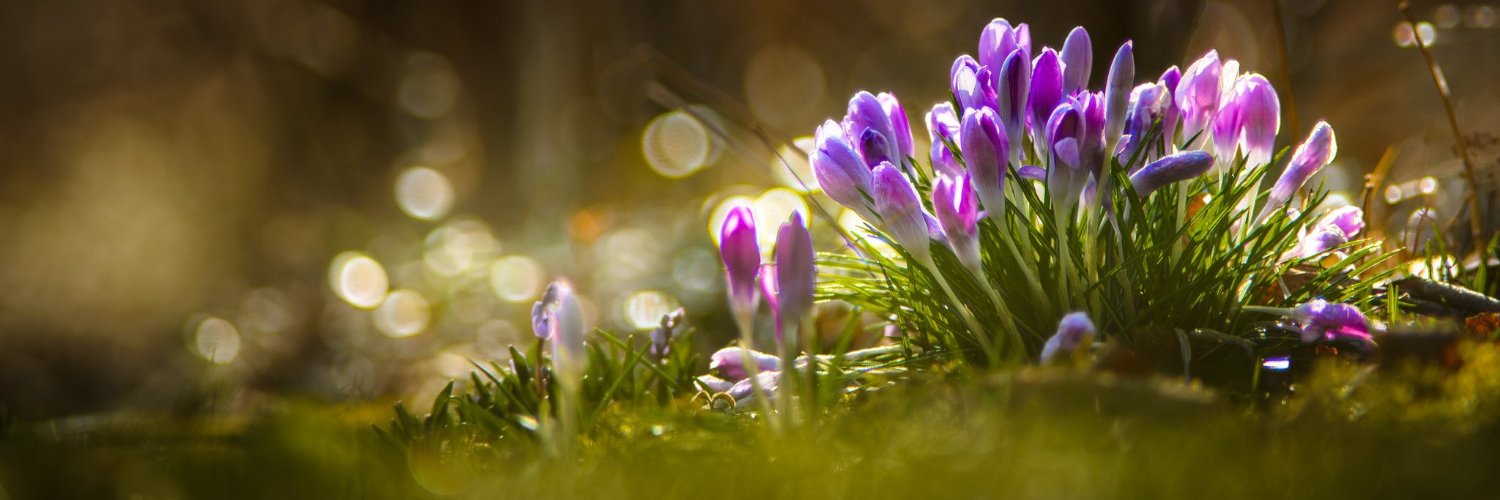 DaMa_DoMa's profile banner image