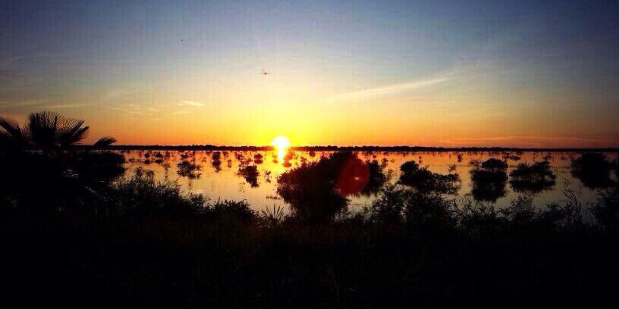 Carlos Requena banner