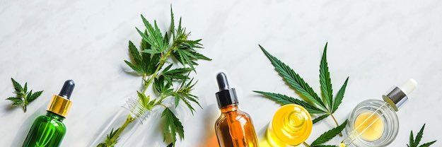 rexia_hemp's profile banner image