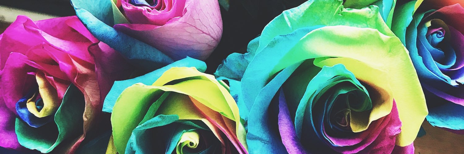 BeckaElectric's profile banner image