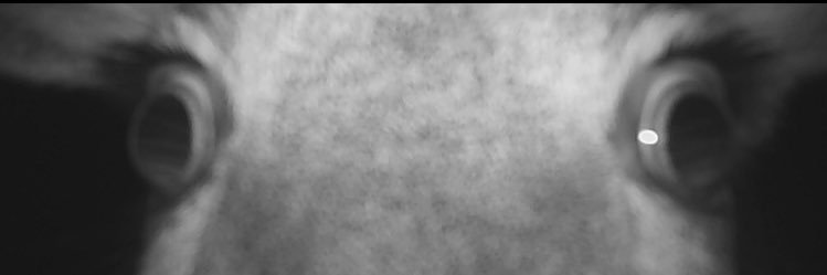 Doops739's profile banner image