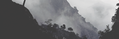 paynescap's profile banner image