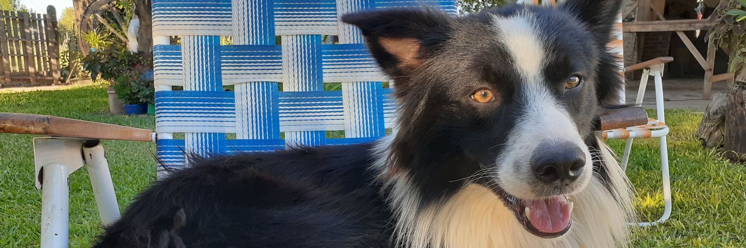 Camico3's profile banner image