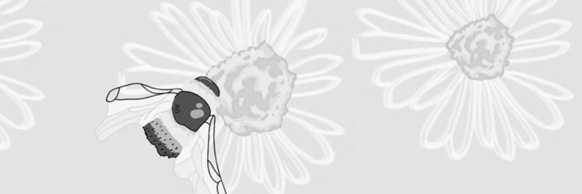 cole_mel_'s profile banner image