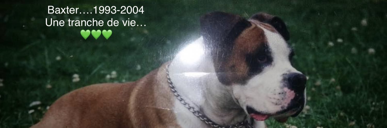 baxter59200's profile banner image