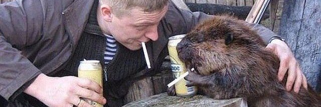 The Sakhno Way banner