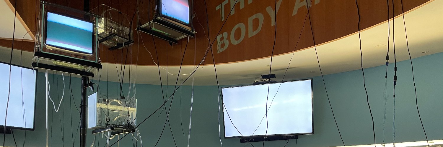 Derek Lim's banner