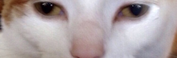 lVoltaicl_Bunny banner