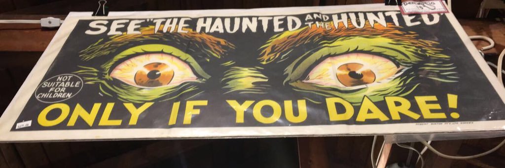 dara_grossi's profile banner image