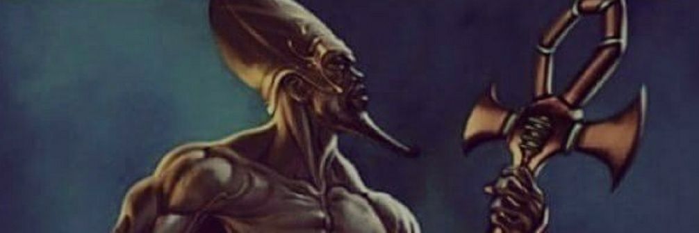 The-Bull-NextDoor banner