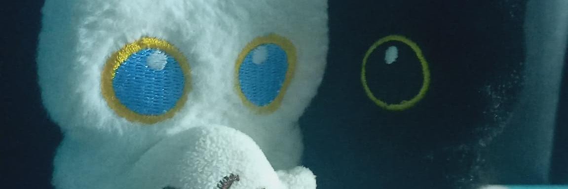 Eevellion's profile banner image