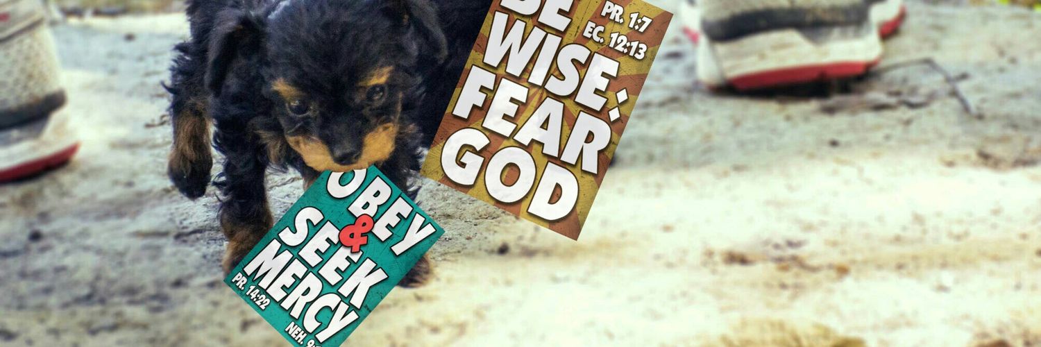 WBCRejoice's profile banner image