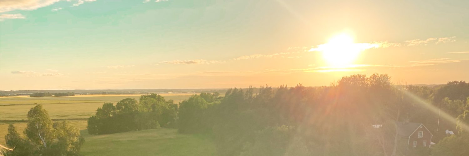 louisej98's profile banner image