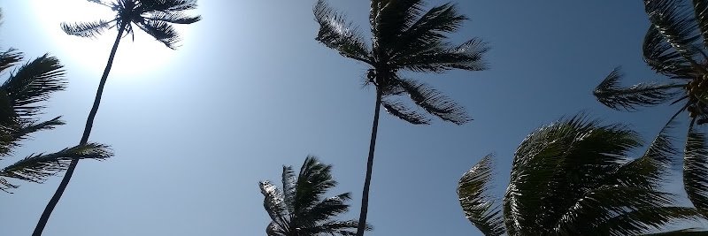 Yuliavril's profile banner image