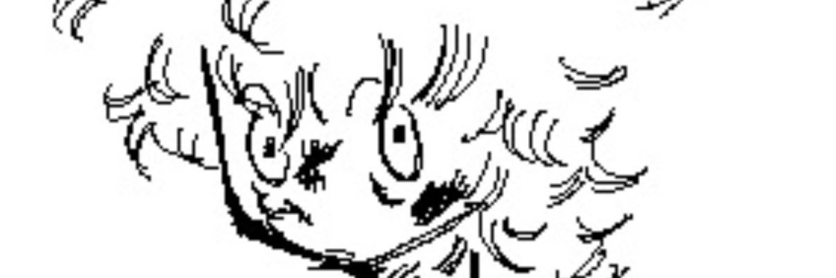 Marcy banner