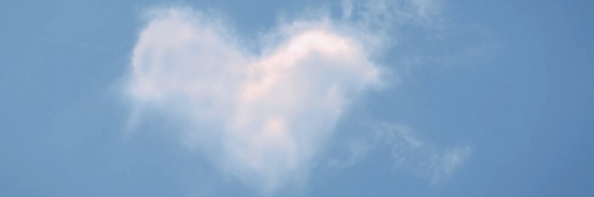 T banner