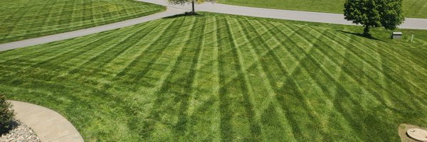 JJSquat Profile Banner