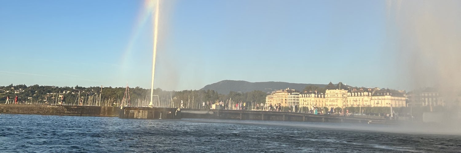 lonetigerr's profile banner image