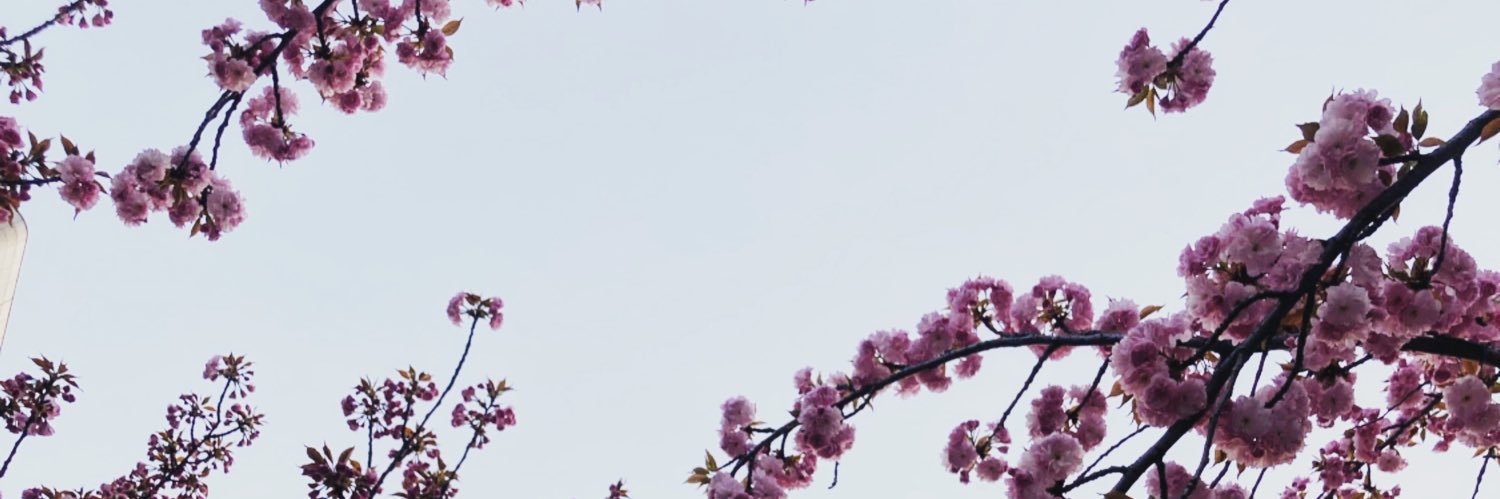 _yeungtae's profile banner image