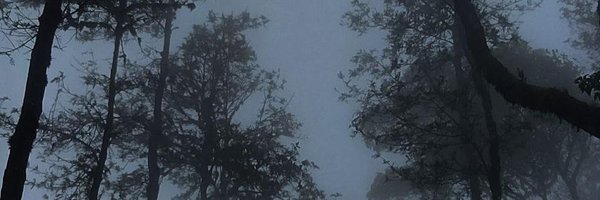 BillyMexico Profile Banner