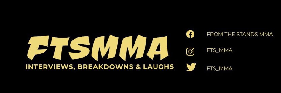 From The Stands banner