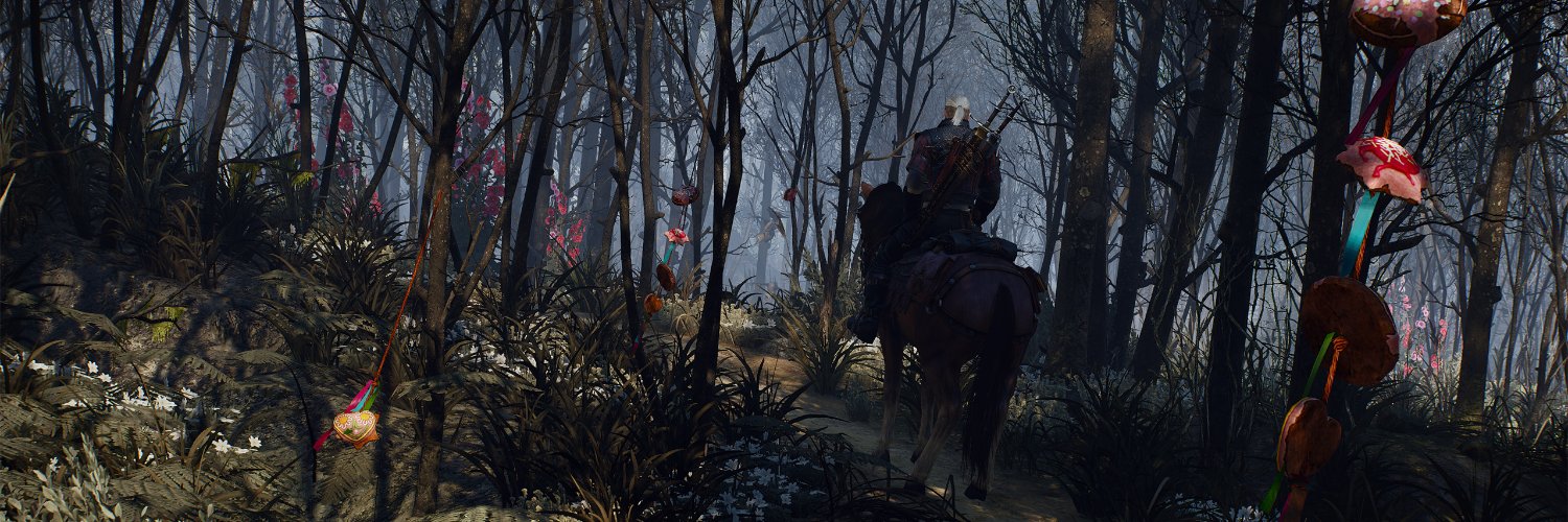 WitcherFromPoznan banner