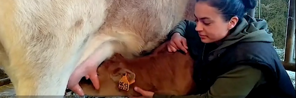 AALVie - Né, élevé & abattu à la ferme banner