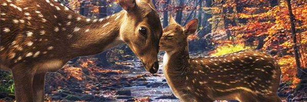 GyllPsyche Profile Banner