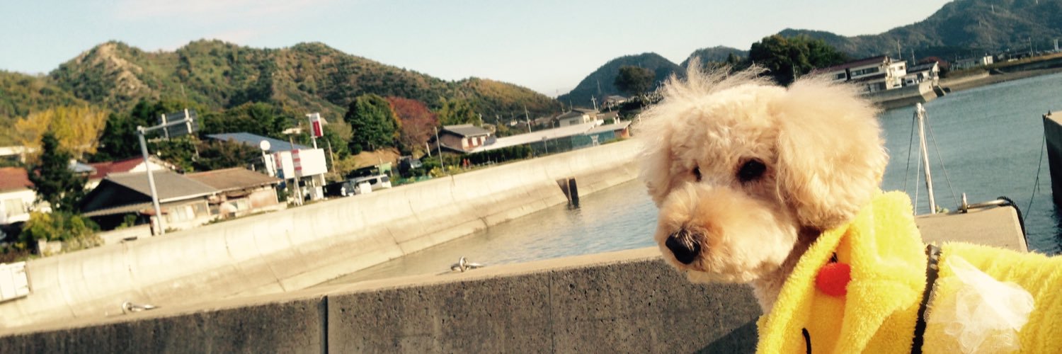 bakakl_'s profile banner image