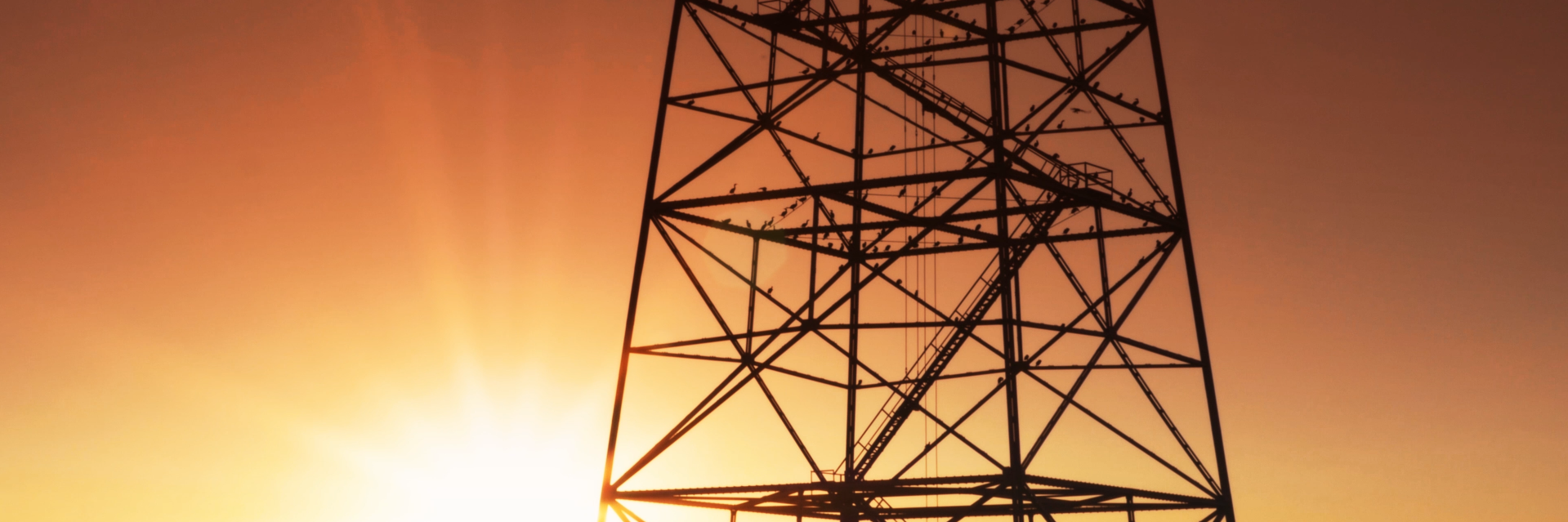 peterlipay's profile banner image