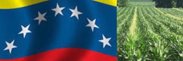 UsecheC's profile banner image