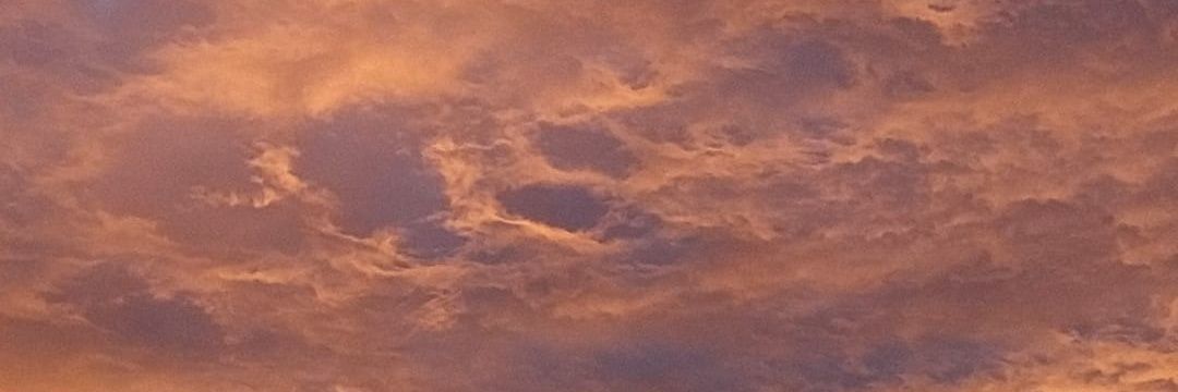 sofiabxg's profile banner image