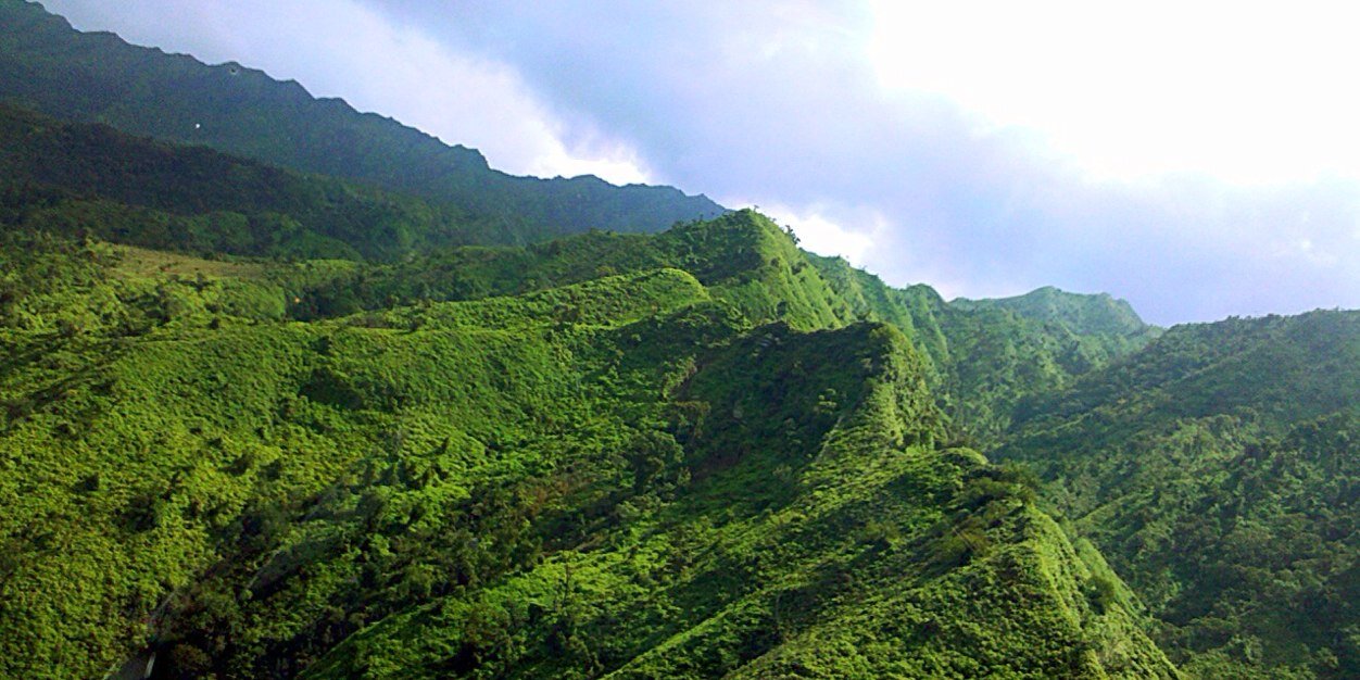 integraIplateaU's profile banner image