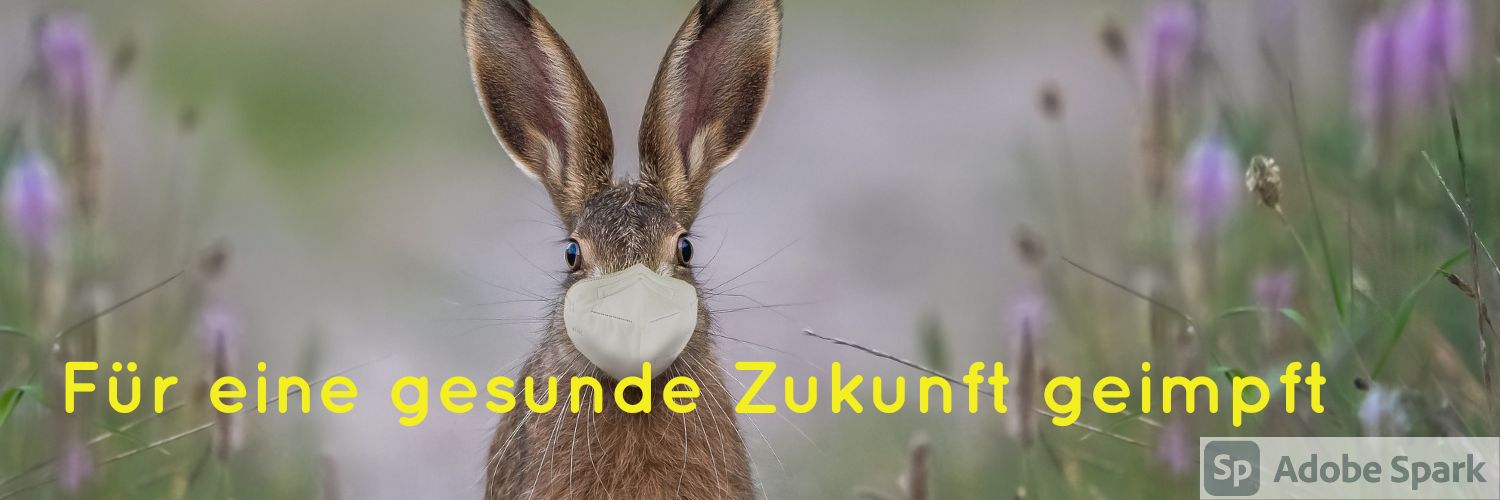 Resi La Ceroni 🇩🇪🇭🇷🇺🇦 banner