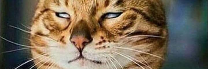 AtJuanfe's profile banner image