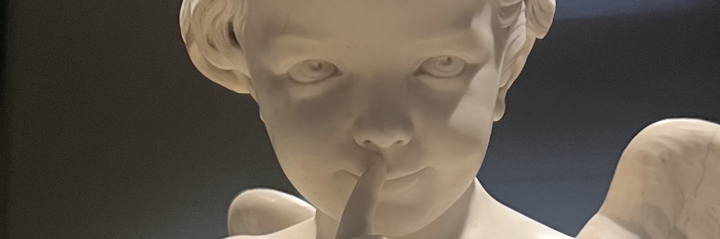 Wild MissingNo. Appeared…. banner