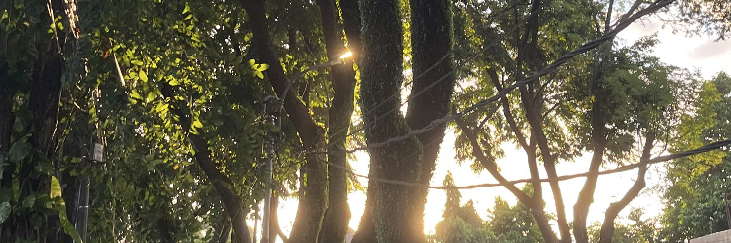 mulmisimhae's profile banner image