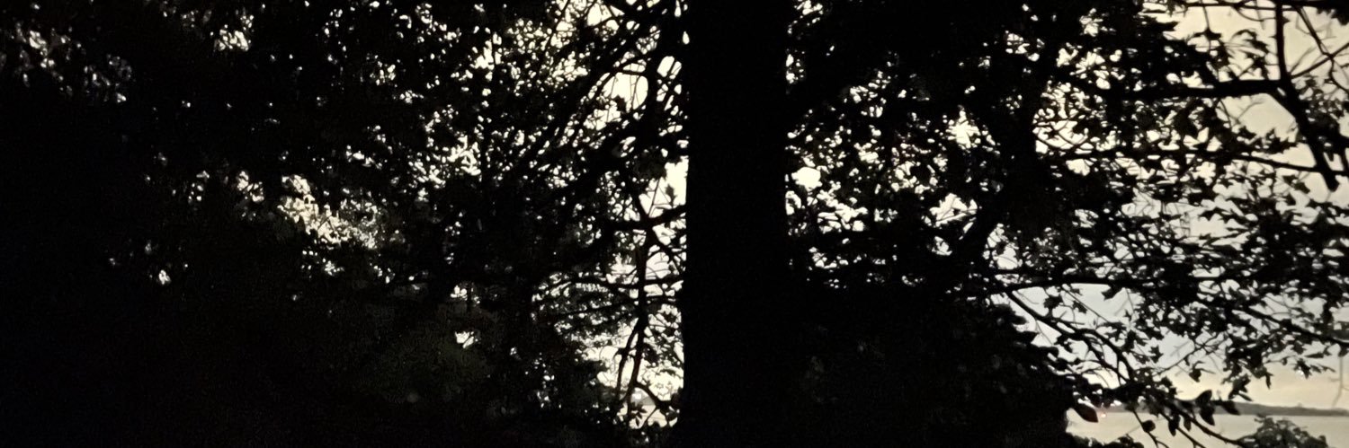anthonyfab11's profile banner image