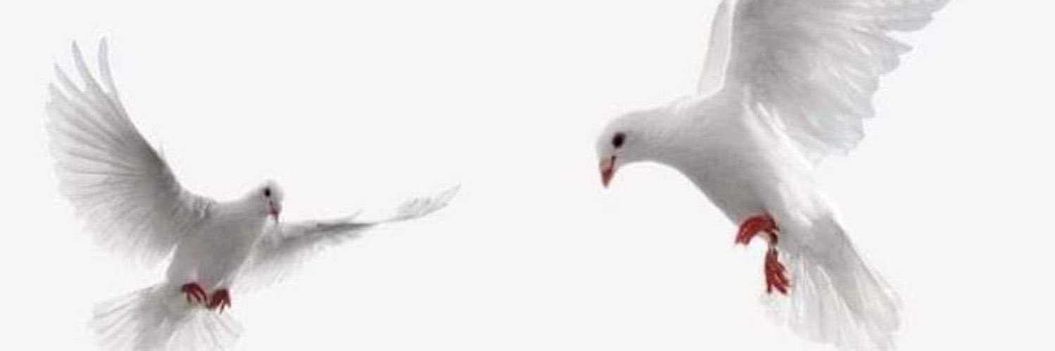 Roo____h's profile banner image