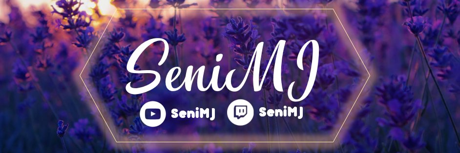 Seni banner
